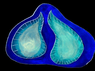 HNO_01